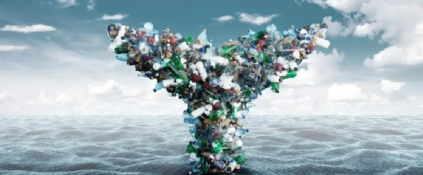 Plastic Pollution Is Real — And Recycling Is One of the Most Practical Answers We Have